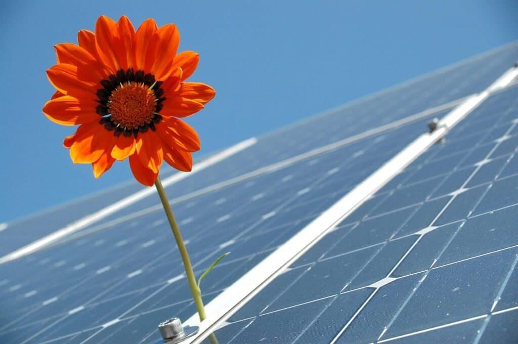 Rooftop Solar